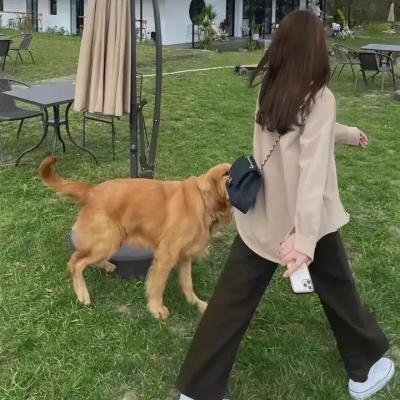 米小圈上学记 第三季